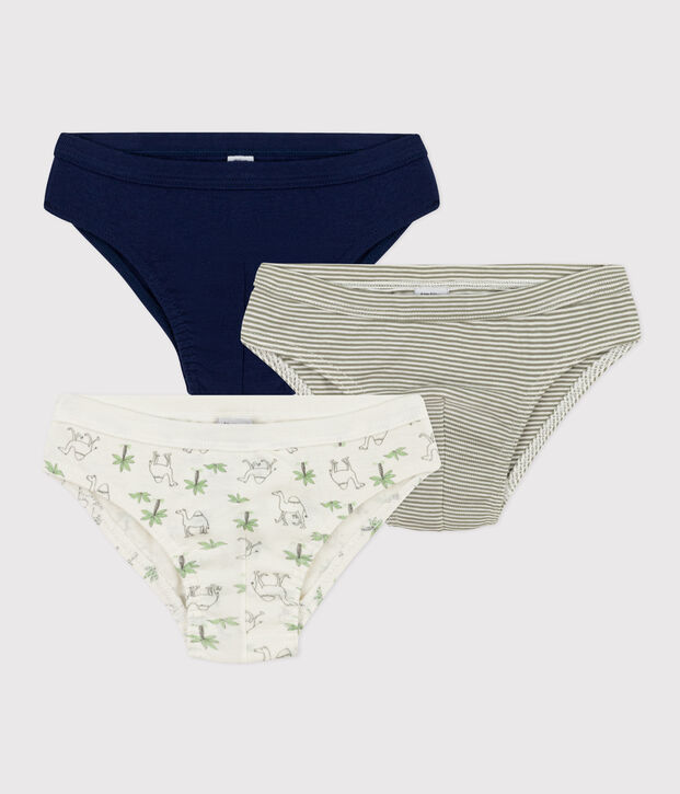 Juego de 3 slips de algod&oacute;n con dromedarios para ni&ntilde;o multicolor