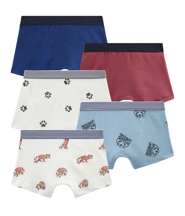 Lote de 5 b&oacute;xers infantiles para ni&ntilde;o multicolor