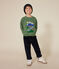 Sudadera de felpa para niño verde PALMERAIE
