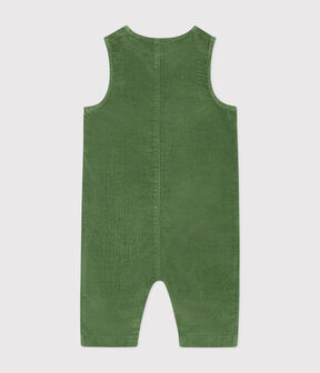 verde PALMERAIE
