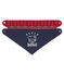 Lote de 2 bandanas-baberos para bebé niño variante 1