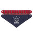 Lote de 2 bandanas-baberos para bebé niño