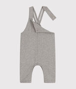 gris CHATON CHINE