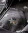 Sudadera con capucha para bebé niño estampada negro CITY/gris GRIS