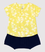amarillo ORGE/blanco MARSHMALLOW