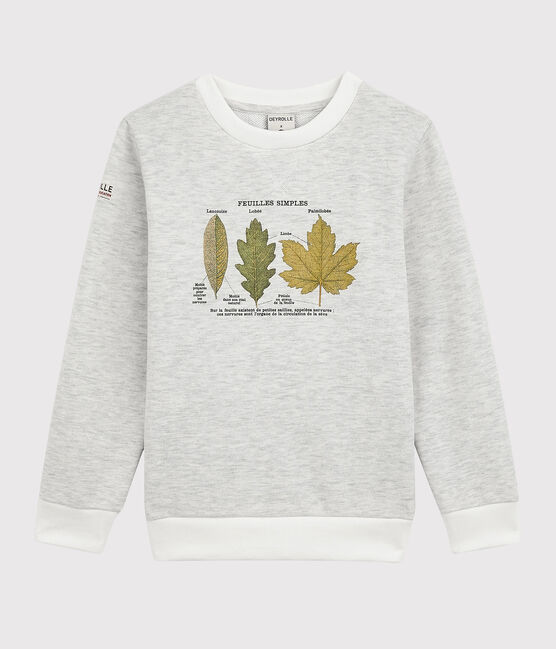 Sudadera de niño Petit Bateau x Deyrolle beige MONTELIMAR CHINE