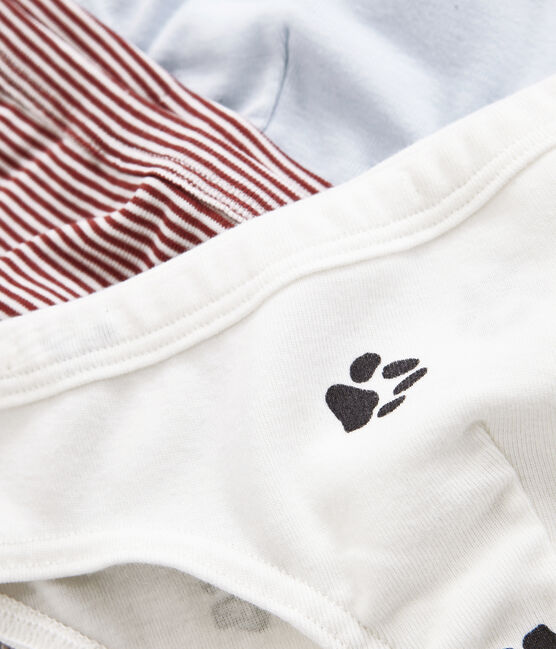 Lote de slips para niño variante 1