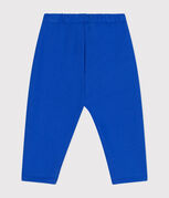 azul CALVIN