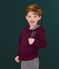 Camiseta con capucha de niño violeta CEPAGE