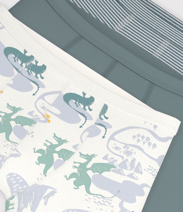 Juego de b&oacute;xeres infantiles de algod&oacute;n con ribete en la cintura y estampado de dragones multicolor