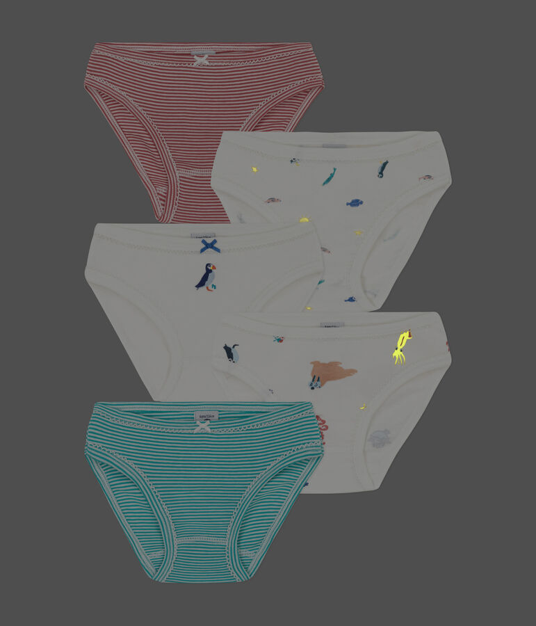 Juego de 5 braguitas de algod&oacute;n para ni&ntilde;a multicolor