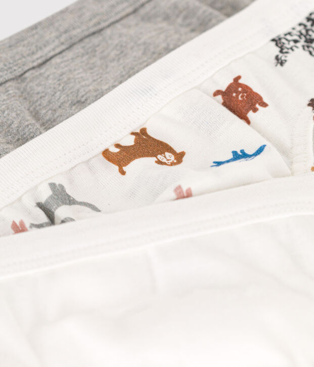 Juego de 3 slips de algod&oacute;n perro para ni&ntilde;o multicolor