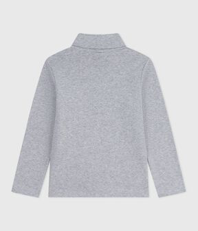 gris FUMEE CHINE