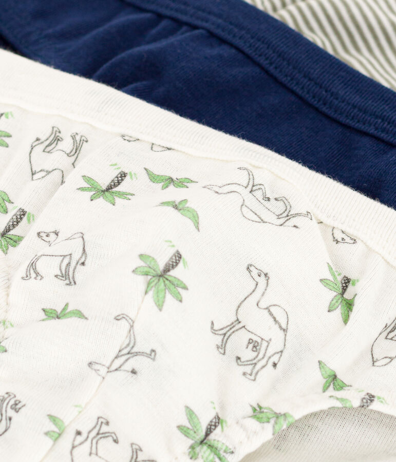 Juego de 3 slips de algod&oacute;n con dromedarios para ni&ntilde;o multicolor