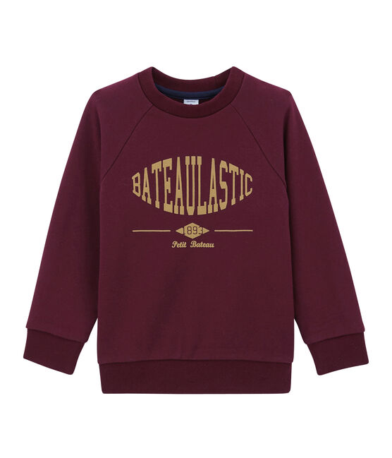 Sudadera para niño violeta OGRE