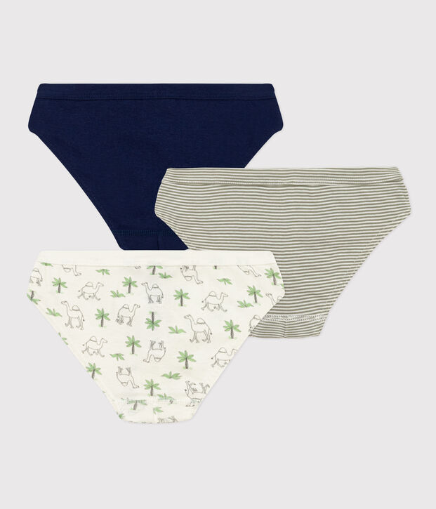 Juego de 3 slips de algod&oacute;n con dromedarios para ni&ntilde;o multicolor