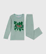 verde PAUL