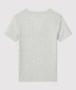 gris BELUGA CHINE