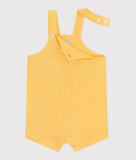 amarillo ORGE