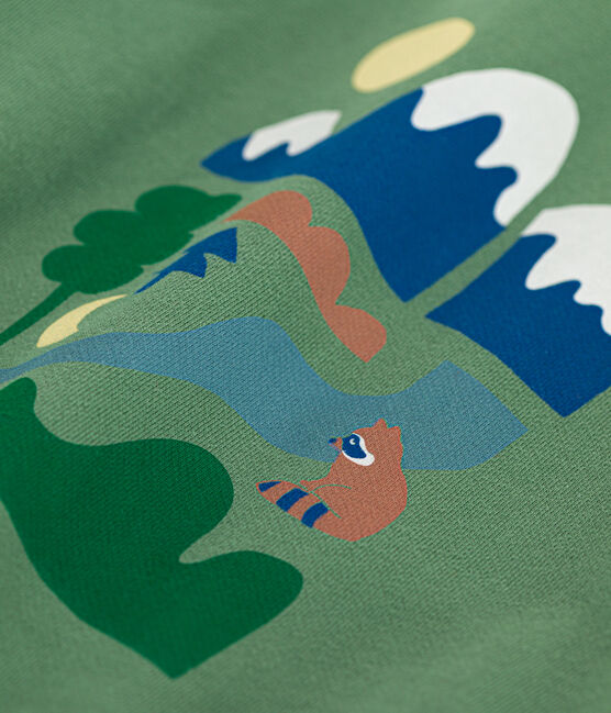 Sudadera de felpa para niño verde PALMERAIE