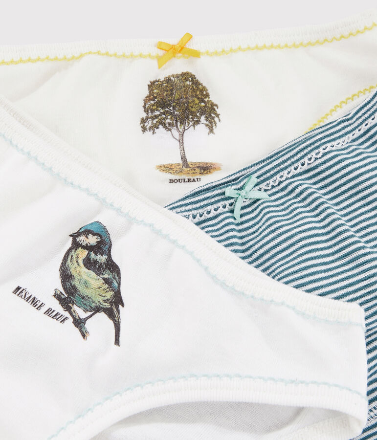 Lote de 3 braguitas de ni&ntilde;a Petit Bateau x Deyrolle multicolor