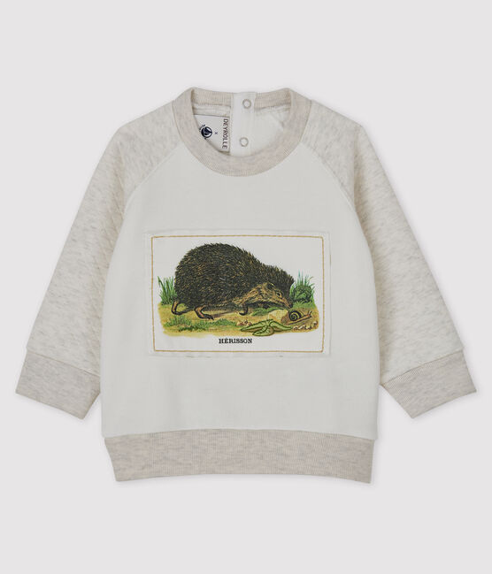 Sudadera de bebé niño Petit Bateau x Deyrolle blanco MARSHMALLOW/ MONTELIMAR