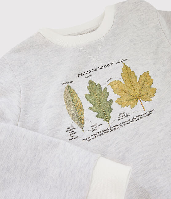 Sudadera de niño Petit Bateau x Deyrolle beige MONTELIMAR CHINE