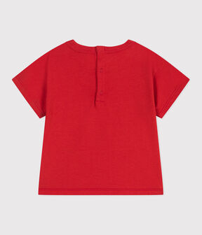 rojo AURORA