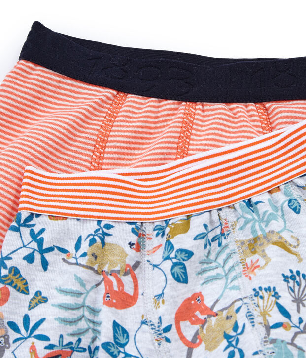 Par de b&oacute;xers para ni&ntilde;o multicolor