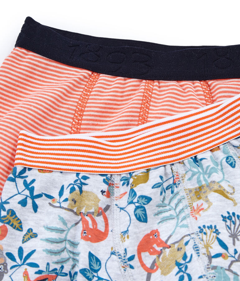 Par de b&oacute;xers para ni&ntilde;o multicolor