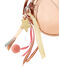 Bolso infantil para niña COPPER