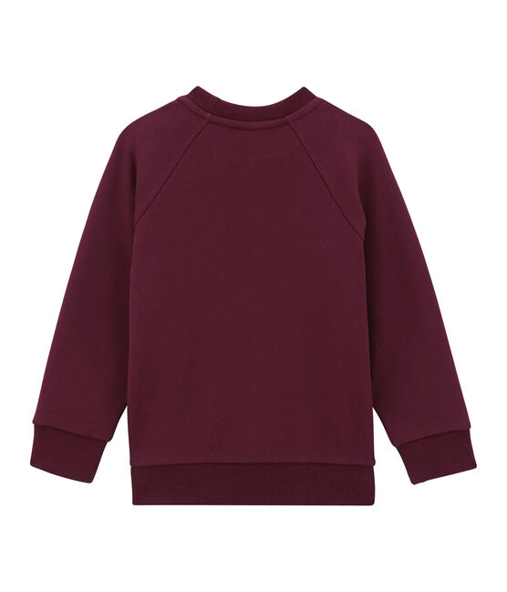 Sudadera para niño violeta OGRE