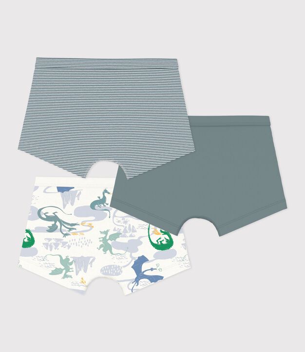 Juego de b&oacute;xeres infantiles de algod&oacute;n con ribete en la cintura y estampado de dragones multicolor