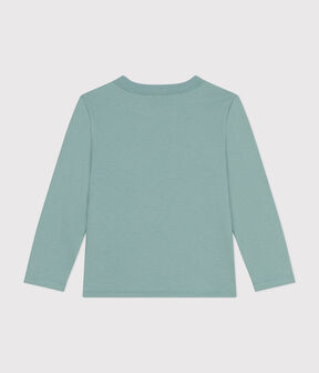 verde PAUL