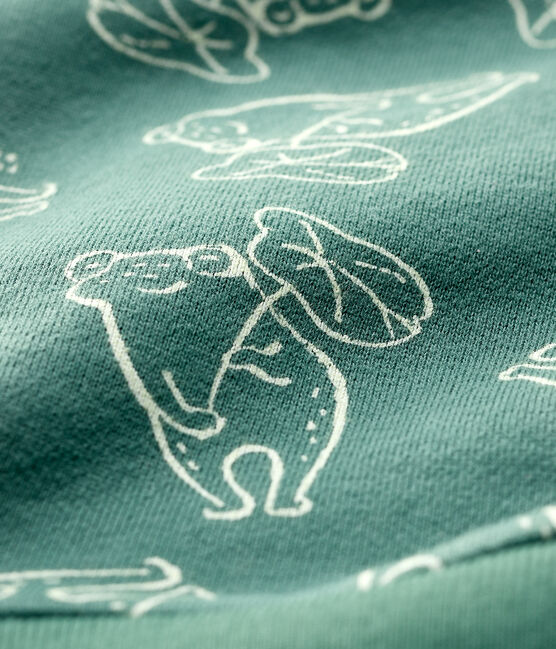 Sudadera de felpa cepillada de bebé niño verde VALLEE/ VALLEE CLAIR
