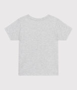 gris BELUGA CHINE