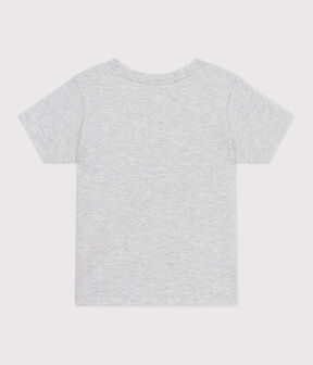gris BELUGA CHINE
