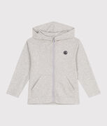 gris BELUGA CHINE