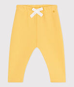 amarillo ORGE
