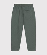 verde THUYA