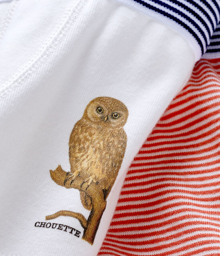 Lote de 2 b&oacute;xeres de ni&ntilde;o Petit Bateau x Deyrolle multicolor