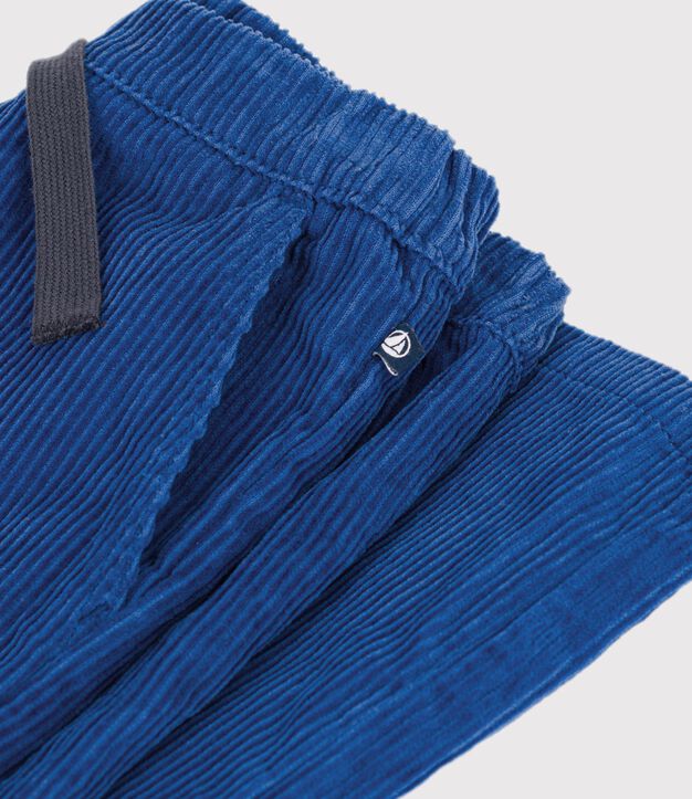 Pantal&oacute;n recto de terciopelo azul