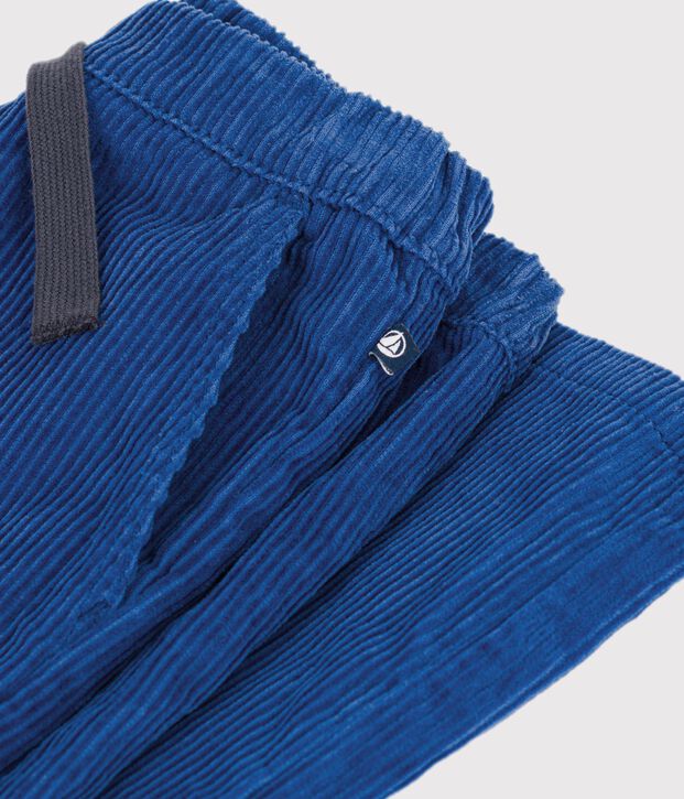 Pantal&oacute;n recto de terciopelo azul
