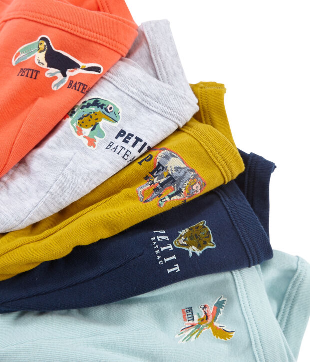 Lote de 5 slips para ni&ntilde;o multicolor