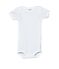 Baby short-sleeved plain cotton envelope-neck bodysuit blanco Ecume