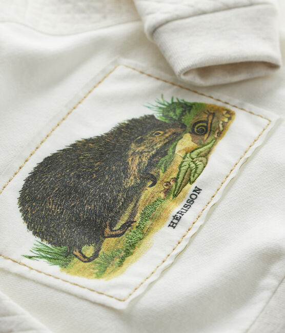 Sudadera de bebé niño Petit Bateau x Deyrolle blanco MARSHMALLOW/ MONTELIMAR