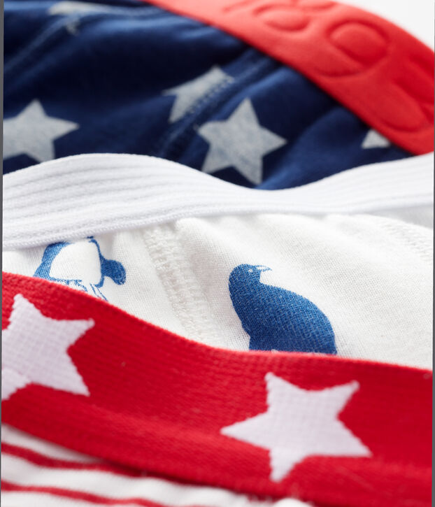 Lote de 3 b&oacute;xeres estampados para ni&ntilde;o peque&ntilde;o multicolor