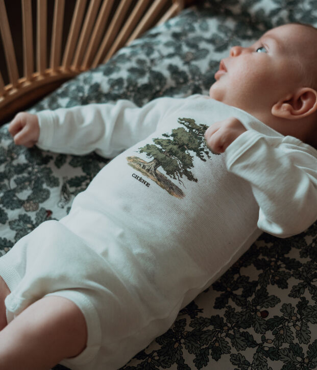 Lote de 3 bodis de manga larga para beb&eacute; ni&ntilde;o Petit Bateau x Deyrolle multicolor