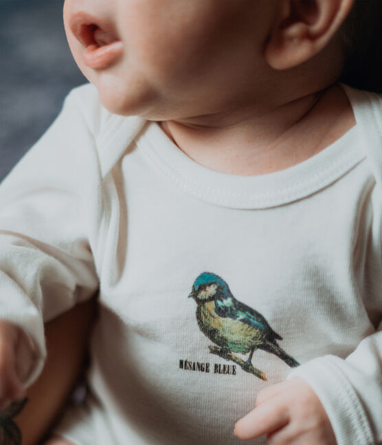Lote de 3 bodis de manga larga para bebé niño Petit Bateau x Deyrolle variante 1