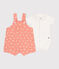 Conjunto de peto de algodón con estampado de soles y body para recién nacido naranja ABRICOT/ MARSHMALLOW